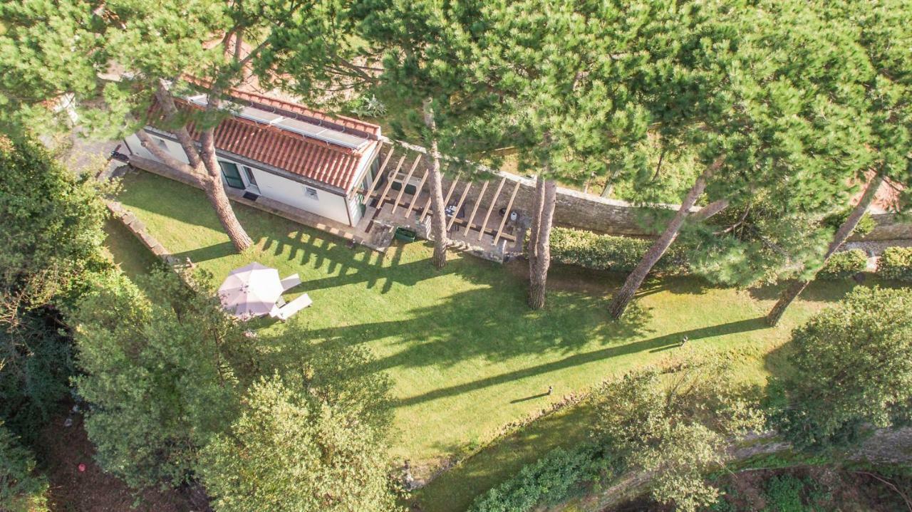 Gardenhouse Sarzanaアパートメント エクステリア 写真